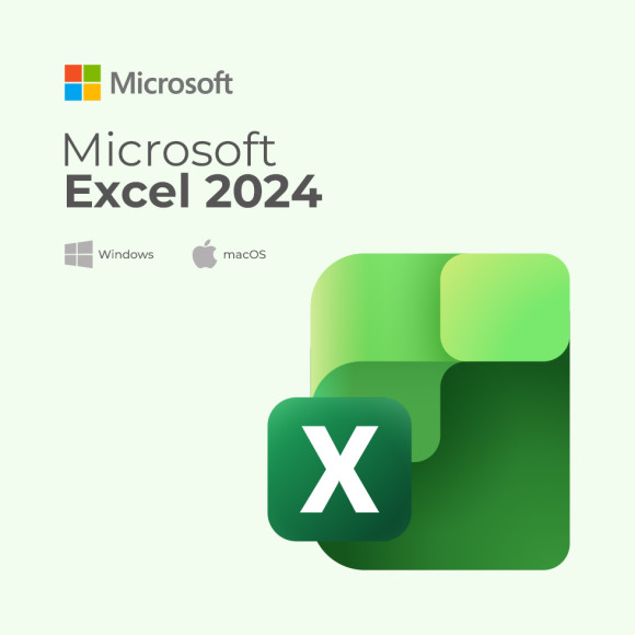 Microsoft Excel 2024